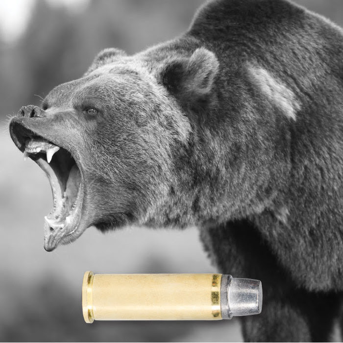 Image of grizzly Bear with pistol cartridge superimposed along bottom of image