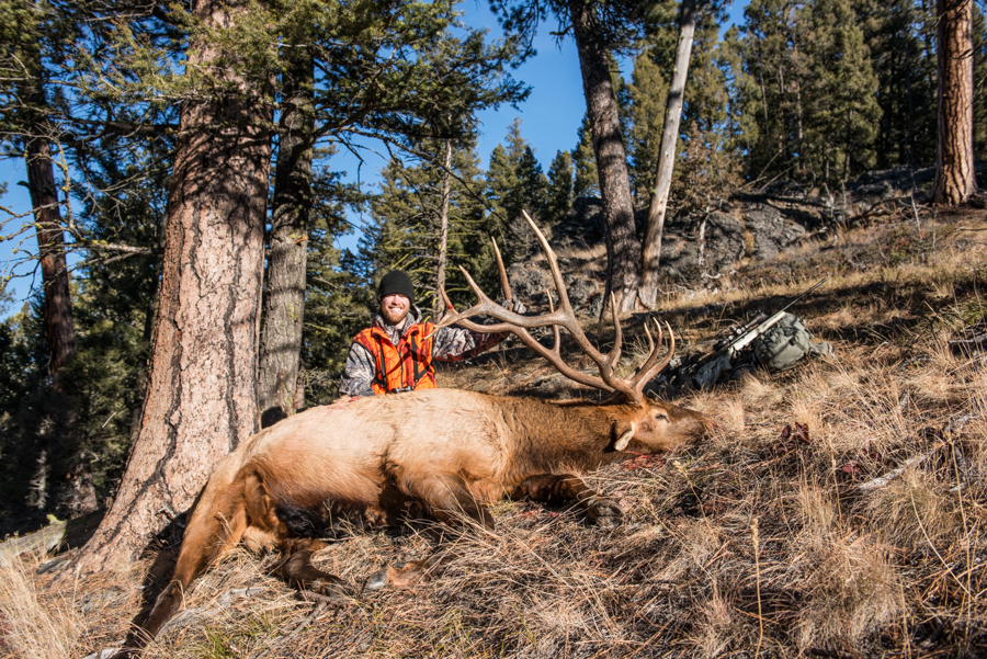 #elkhunting #bullelk #antlers #hsmammo #gun #rifle #huntingshack #westernmontana 