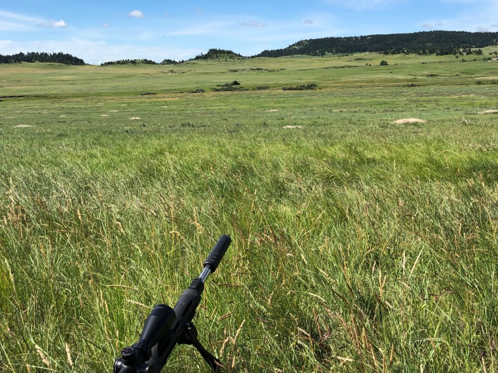 Image of landscape with rifle barrel