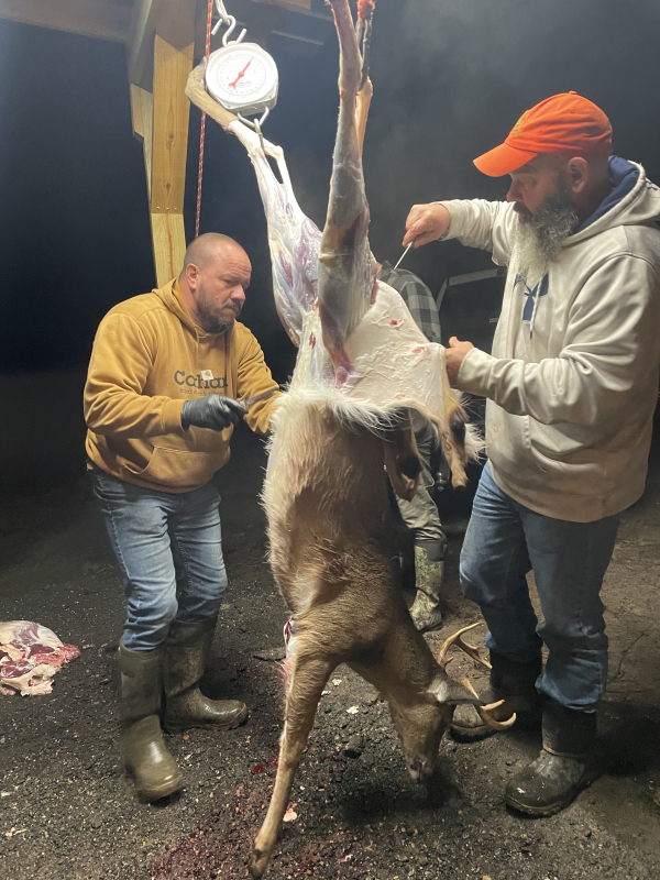 Hunters skinning Whitetail deer